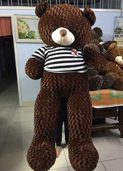 GB21 Gấu bông Teddy nâu