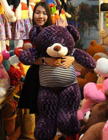 GB3 Gấu Teddy màu tím