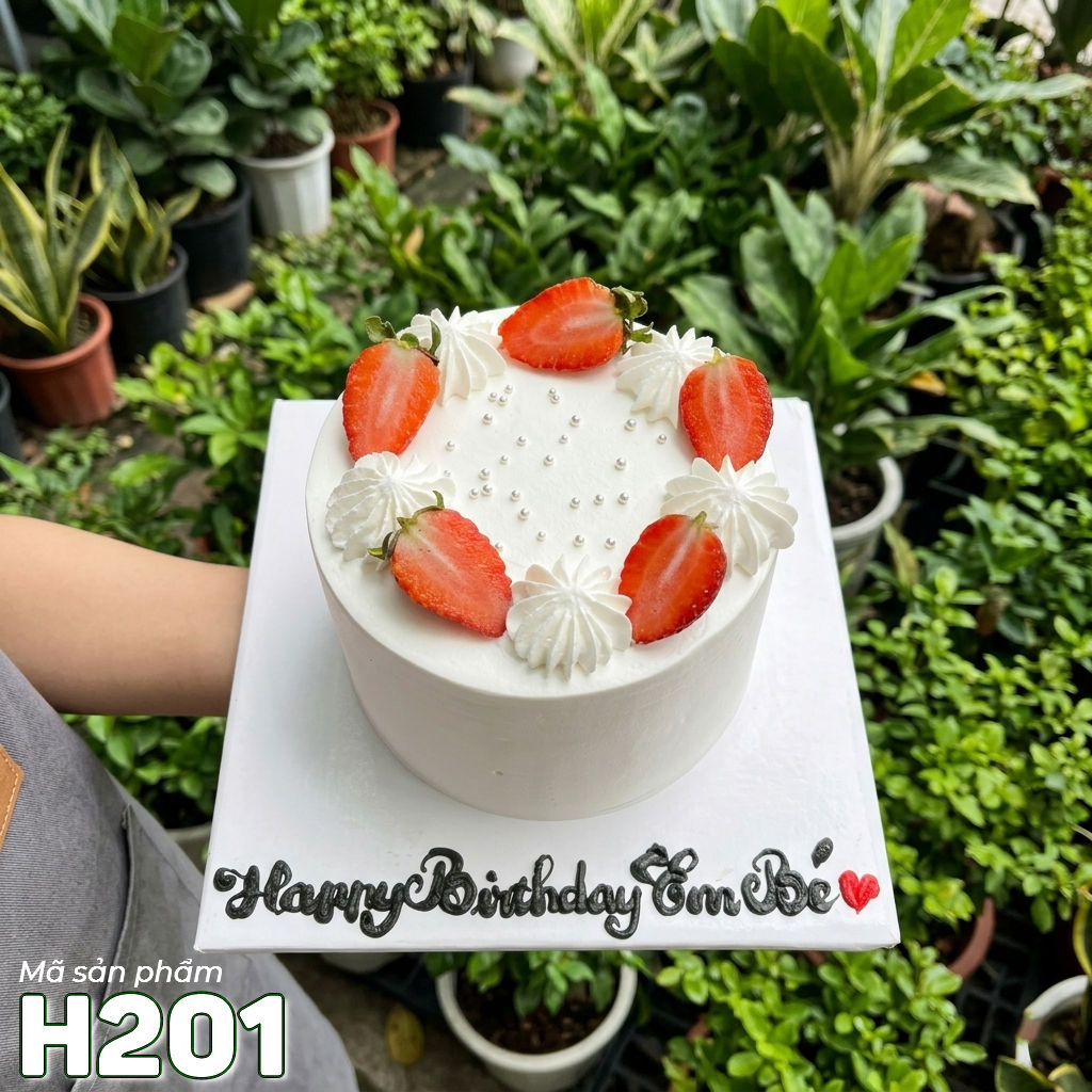 Bánh kem sinh nhật H201 đơn giản thanh lịch viền kem tươi và dâu tây đỏ mọng