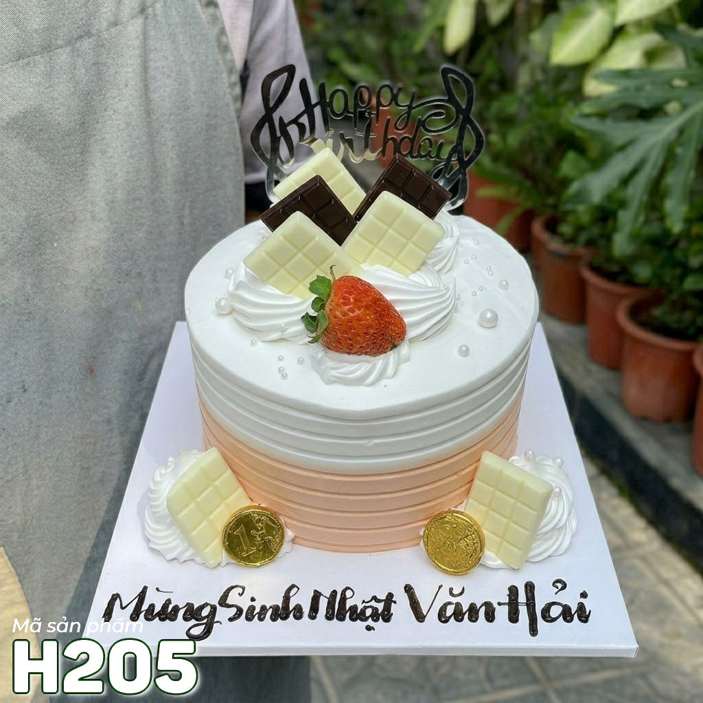 Bánh kem sinh nhật H205 trang trí socola đồng tiền sang trọng