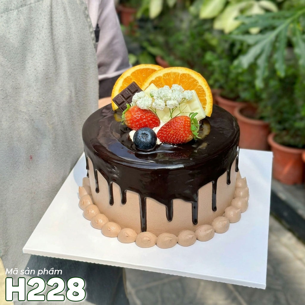 Bánh kem sinh nhật H228 chảy socola nâu và trái cây tươi