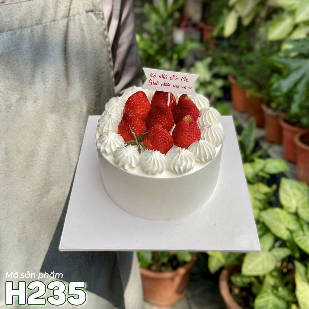 Bánh kem sinh nhật H235 dâu tây đơn giản tinh tế cho mẹ