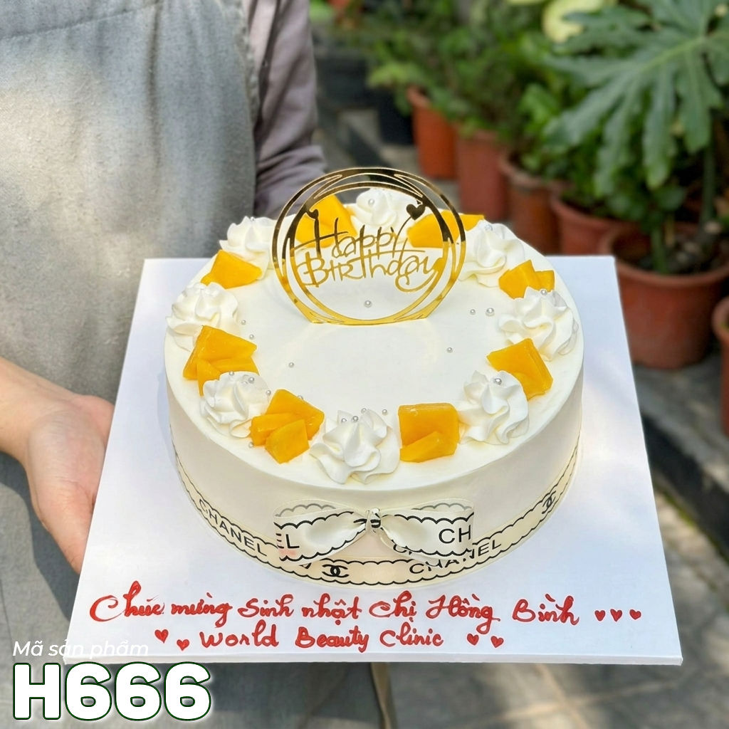 Bánh kem H666 trang trí xoài tươi cùng ruy băng thương hiệu sang chảnh