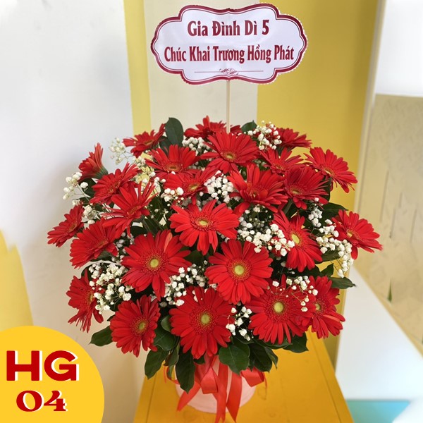 Giỏ hoa sinh nhật khai trương HG04