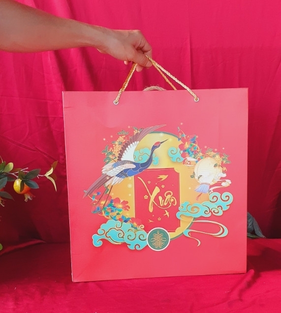 T107 2 Sâm lát JM, 2 Sâm Q Plus, Tỏi đen Hàn, Passion