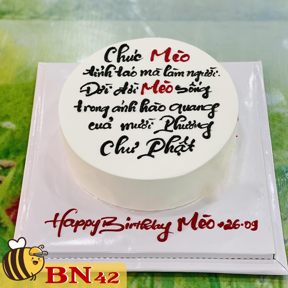 Mẫu bánh sinh nhật đẹp BN42 độc đáo chỉ viết lời nhắn dài troll bạn bè