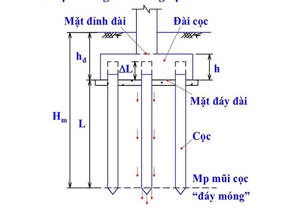 Cấu tạo của móng cọc trong xây dựng.