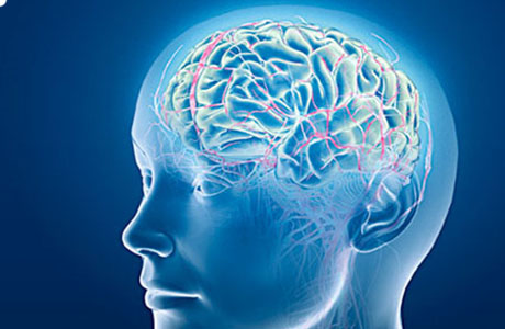 Tìm hiểu về tai biến mạch máu não và cách điều trị