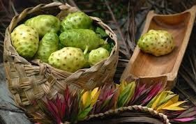Nước ép trái nhàu có lợi gì đối với cơ thể