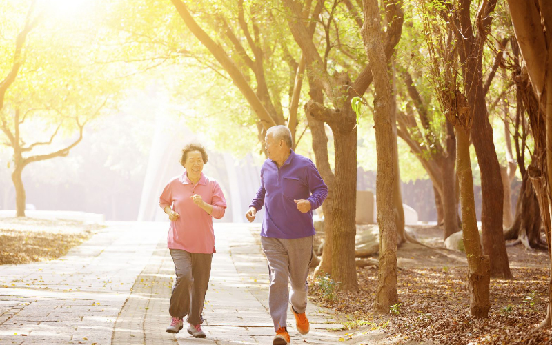 Viên xương khớp Glucosamine Chondroitin ZSX Công ty cổ phần quốc tế