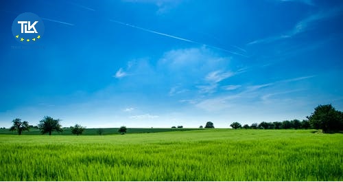 Thủ tục xin chuyển nhượng quyền thuê đất trong khu công nghiệp tại Bắc Ninh mới nhất