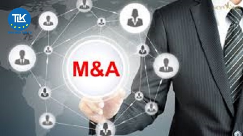 Chuyển lợi nhuận trước khi quyết toán thuế có được không? | FDI