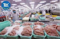 THỦ TỤC XIN GIẤY PHÉP ĐỦ ĐIỀU KIỆN SẢN XUẤT, KINH DOANH NƯỚC TẨY RỬA TRONG CÔNG NGHIỆP