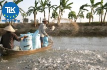 THỦ TỤC XIN GIẤY PHÉP ĐỦ ĐIỀU KIỆN SẢN XUẤT, KINH DOANH NƯỚC TẨY RỬA TRONG CÔNG NGHIỆP