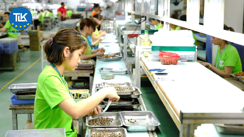 BẢN TIN PHÁP LUẬT SỐ 22/2025