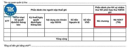 mot-so-chu-y-lien-quan-den-cach-dien-ma-chuong-muc-tieu-muc-khi-nop-thue