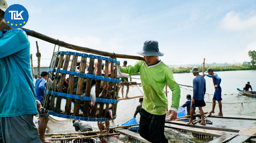 thu-tuc-cap-cap-lai-giay-chung-nhan-co-so-du-dieu-kien-san-xuat-thuc-an-thuy-san-san-pham-xu-ly-moi-truong-nuoi-trong-thuy-san-tru-nha-dau-tu-nuoc-ngoai-to-chuc-kinh-te-co-von-dau-tu-nuoc-ngoai