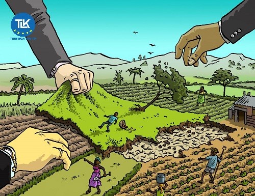 mua-dat-dang-co-tranh-chap-thi-xu-ly-the-nao