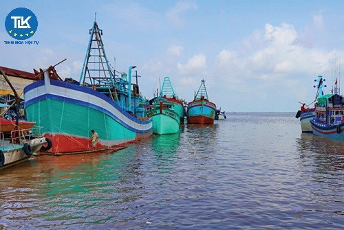 thu-tuc-cap-cap-lai-giay-xac-nhan-dang-ky-nuoi-trong-thuy-san-long-be-doi-tuong-thuy-san-nuoi-chu-luc