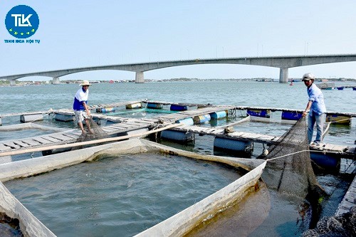 thu-tuc-cap-cap-lai-giay-xac-nhan-dang-ky-nuoi-trong-thuy-san-long-be-doi-tuong-thuy-san-nuoi-chu-luc