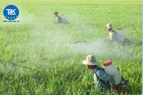 thu-tuc-cap-giay-phep-khao-nghiem-thuoc-bao-ve-thuc-vat-de-dang-ky-bo-sung