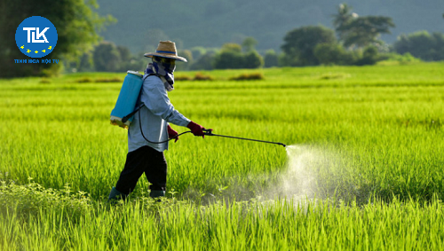 thu-tuc-cap-giay-phep-van-chuyen-thuoc-bao-ve-thuc-vat