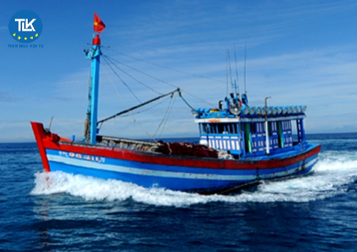 cap-lai-giay-xac-nhan-phu-hop-ve-tuyen-dung-cung-ung-thuyen-vien-hang-hai