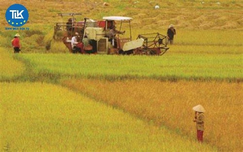 thu-tuc-de-nghi-cong-nhan-cac-tieu-chuan-thuc-hanh-nong-nghiep-tot-khac-gap-khac-cho-ap-dung-de-duoc-huong-chinh-sach-ho-tro-trong-nong-nghiep-lam-nghiep-va-thuy-san