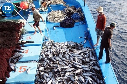 thu-tuc-de-nghi-cap-cap-lai-gia-han-giay-phep-hoat-dong-cho-to-chuc-ca-nhan-nuoc-ngoai-co-tau-hoat-dong-thuy-san-trong-vung-bien-viet-nam