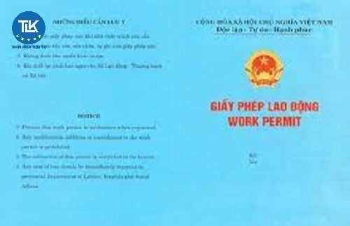 cap-giay-phep-lao-dong-cho-nguoi-lao-dong-nuoc-ngoai-lam-viec-tai-viet-nam-cap-trung-uong