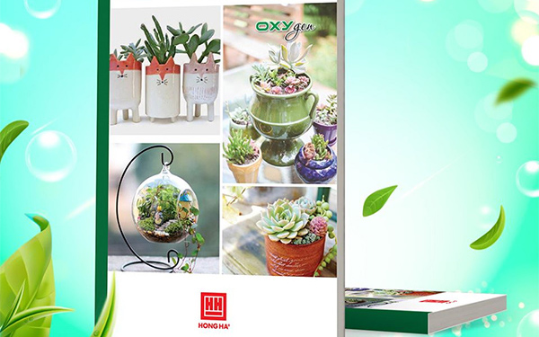 Lớp 6 cần bao nhiêu quyển vở?