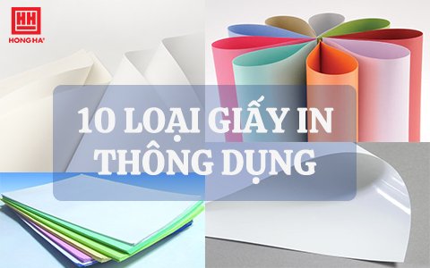 [Chia sẻ] 10 loại giấy thường được sử dụng để làm giấy in