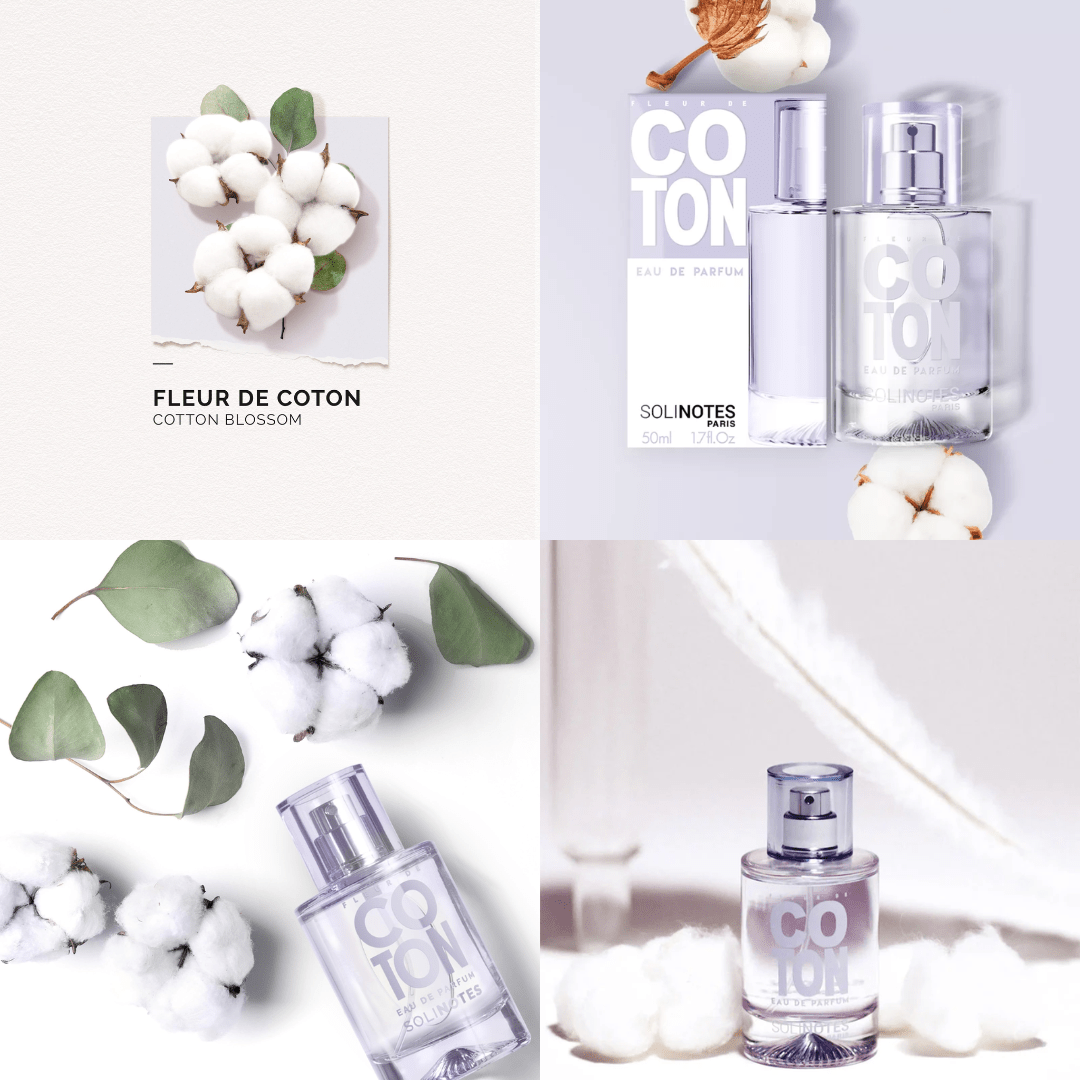 Solinotes Cotton - BÔNG GÒN