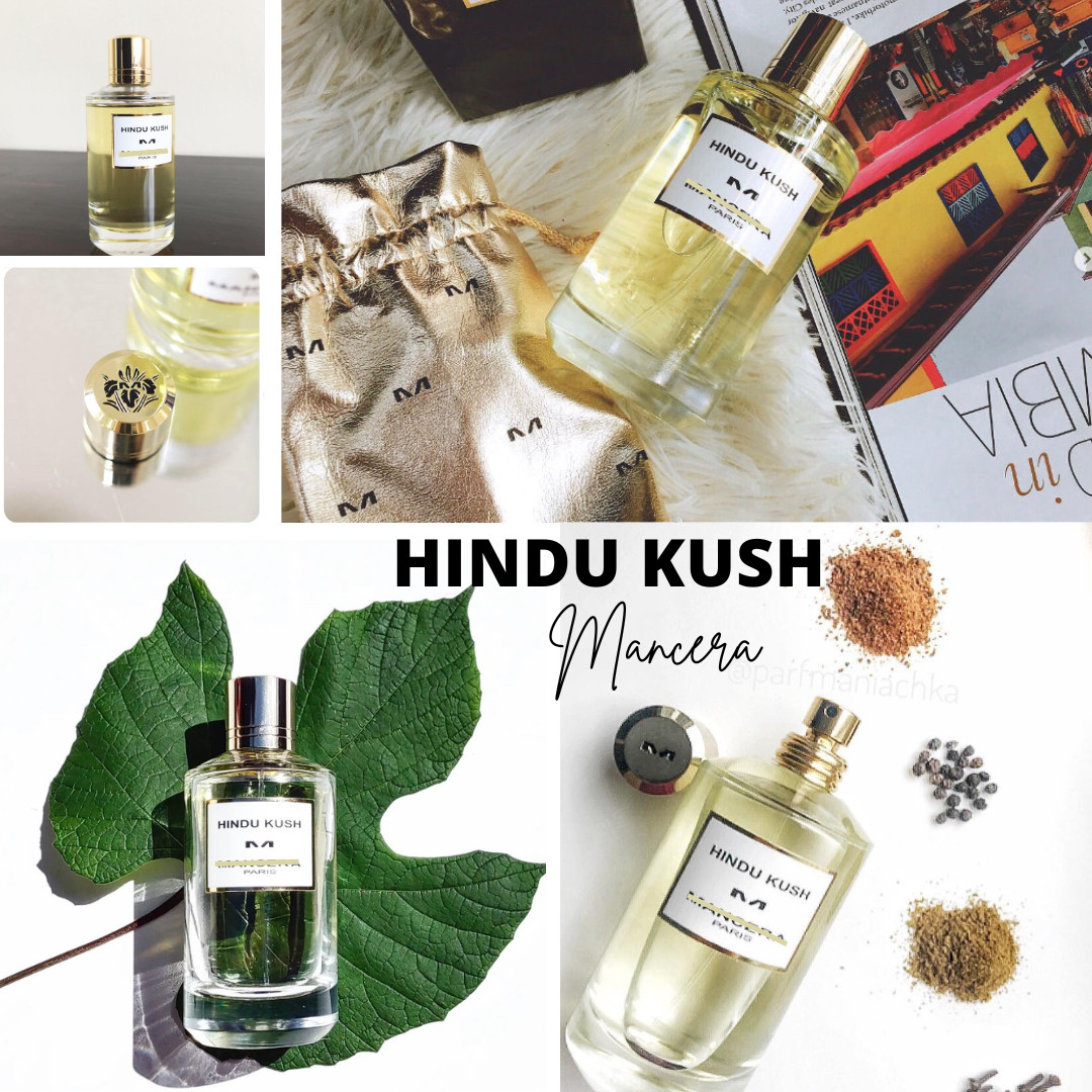 Mancera Hindu Kush  - Giới hạn của hương thơm nằm ờ đâu?