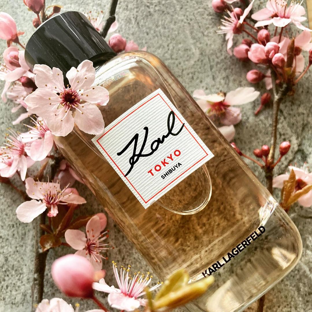Karl Lagerfeld Tokyo Shibuya - Hoa anh đào trong nắng.