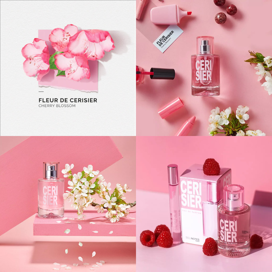 Solinotes Fleur de Cerisier - ANH ĐÀO