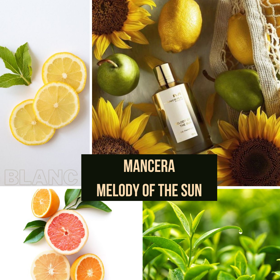 Melody of the Sun - Giai điệu của ánh mặt trời.