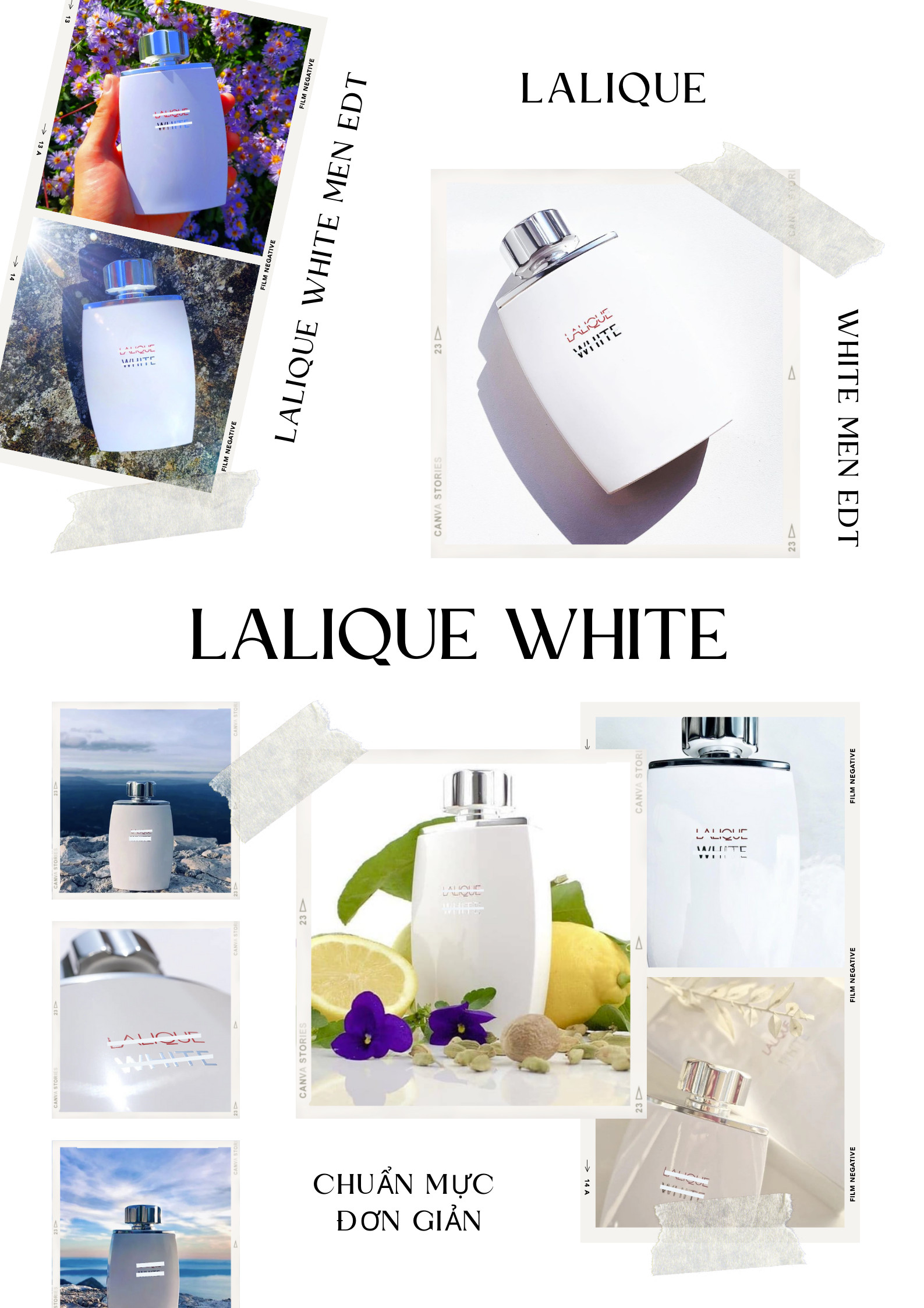 Chuẩn Mực Đơn Giản: Chiếc Sơ Mi Trắng Lalique White Thanh Lịch