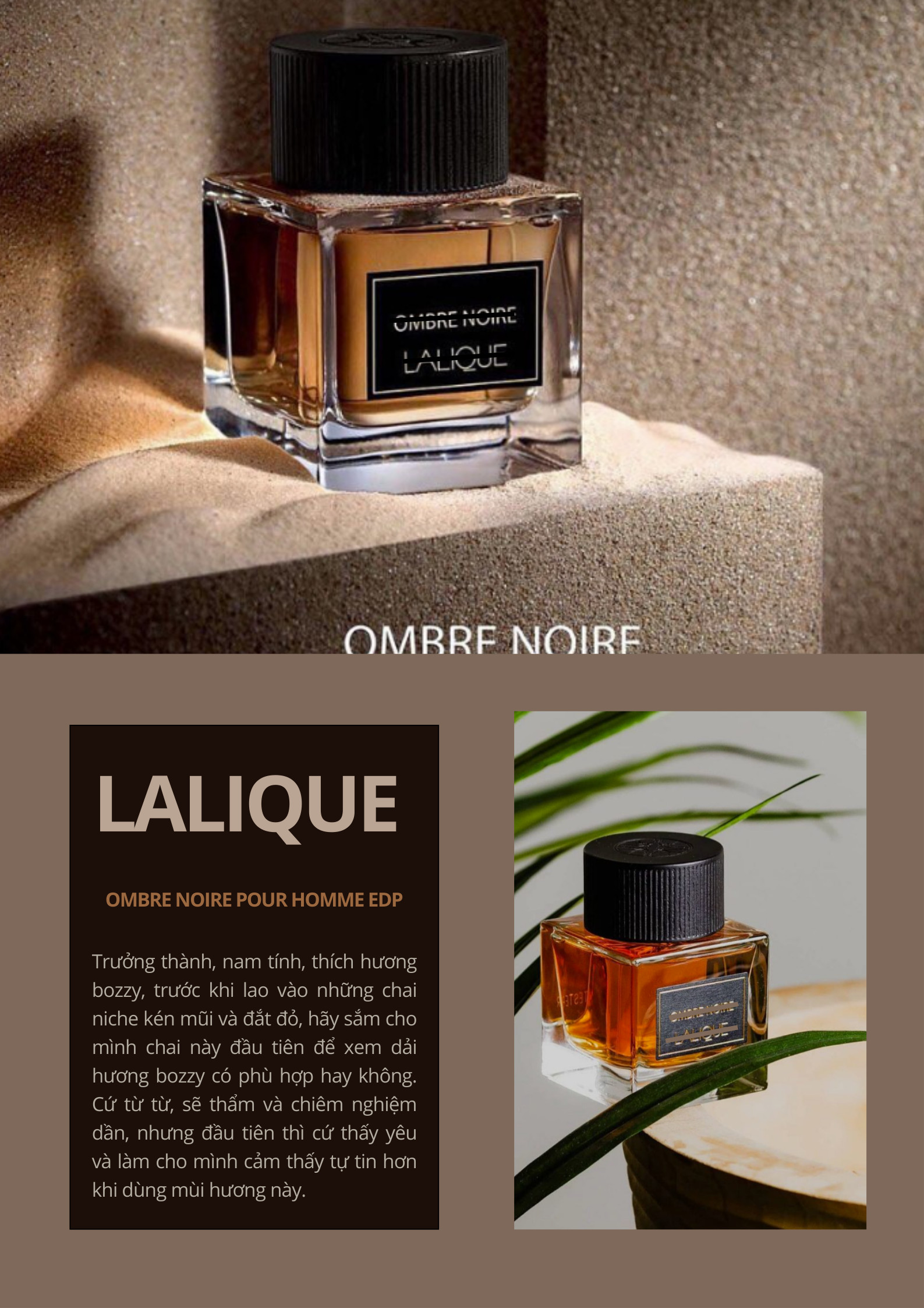 Lalique Ombre Noire - Một sự khởi đầu vào nhóm hương bozzy (rượu) không gì hoàn hảo hơn!