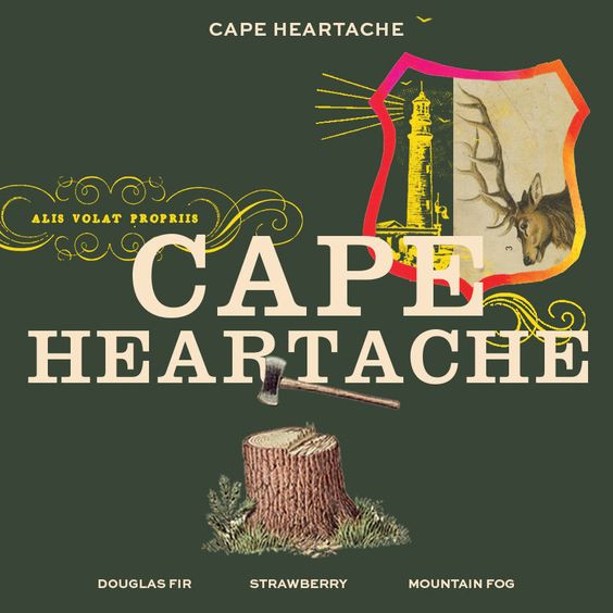 Cape Heartache - Rừng vào những ngày mưa.