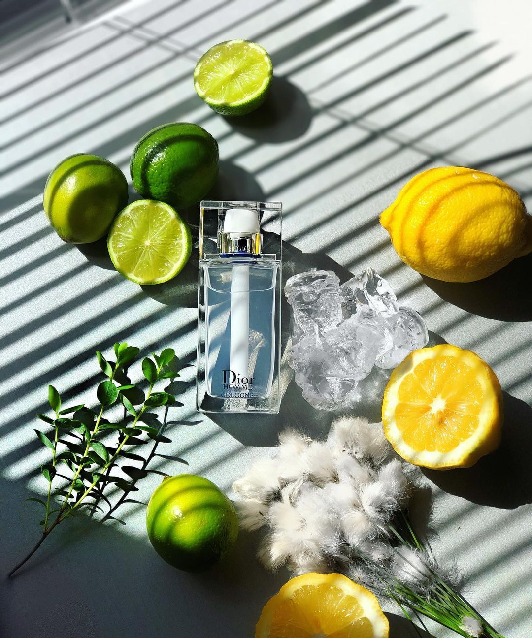 Dior Homme Cologne - Mùi Hương Nam Kinh Điển Về Sự Tinh Tế