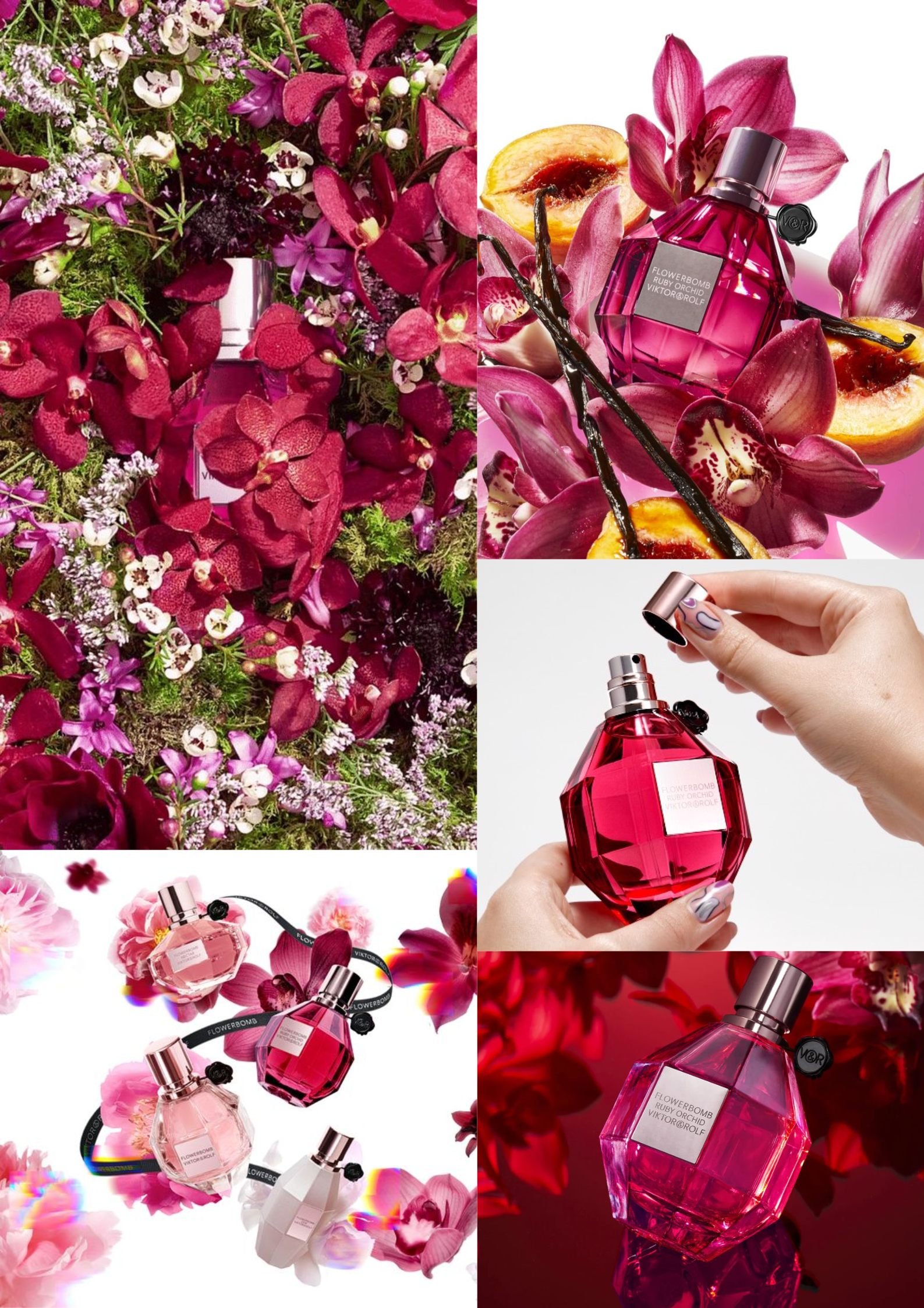 Flowerbomb Ruby Orchid - It's your showtime!