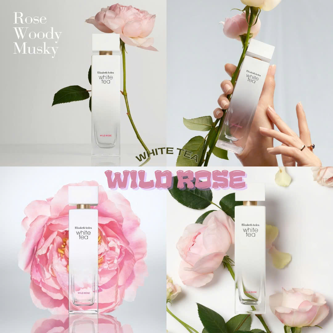 White Tea Wild Rose - Đóa hồng dại đầu mùa.