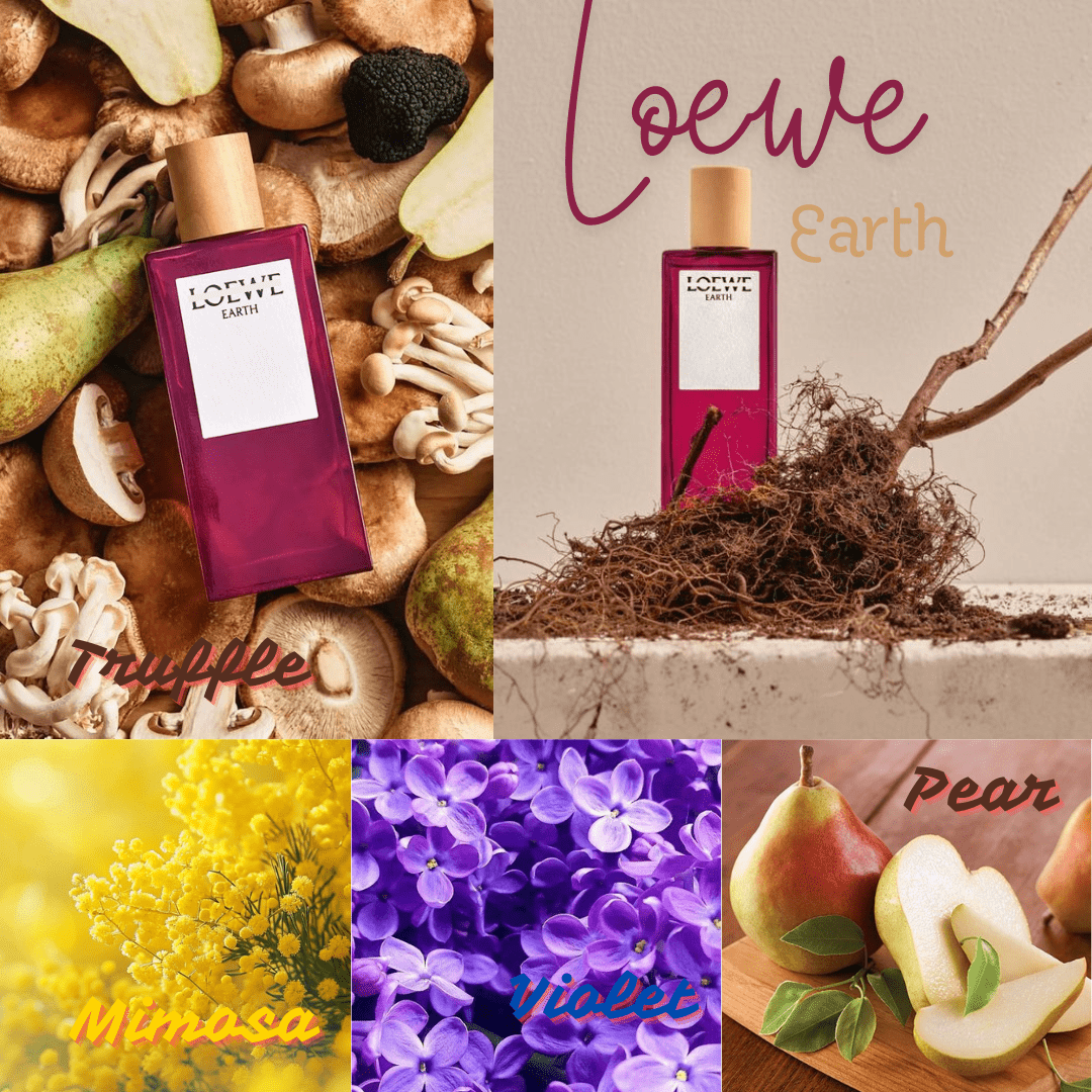 Loewe Earth EDP - mùi hương hấp dẫn nhất của thương hiệu.