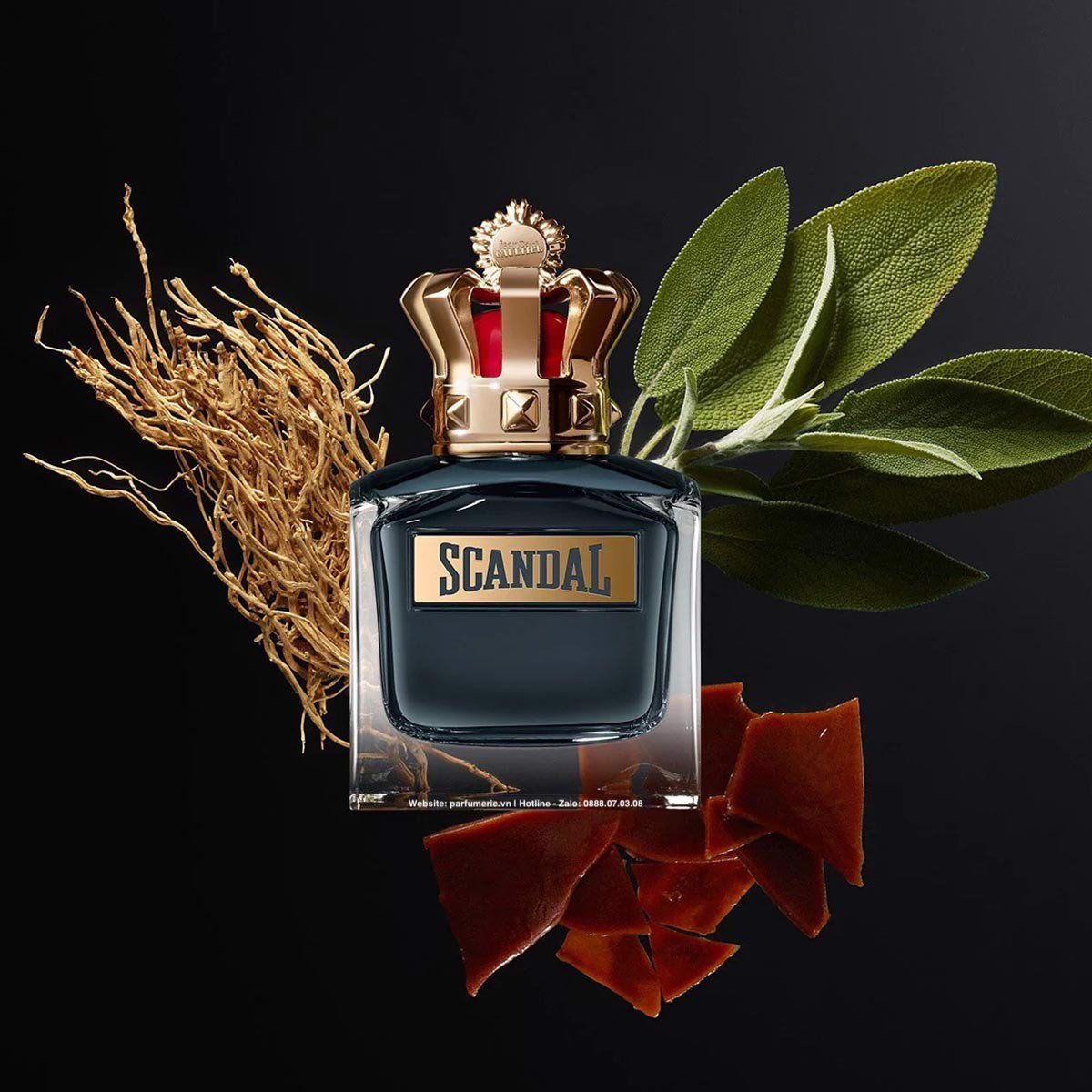 Scandal pour homme - Vị quyền vương bất bại!