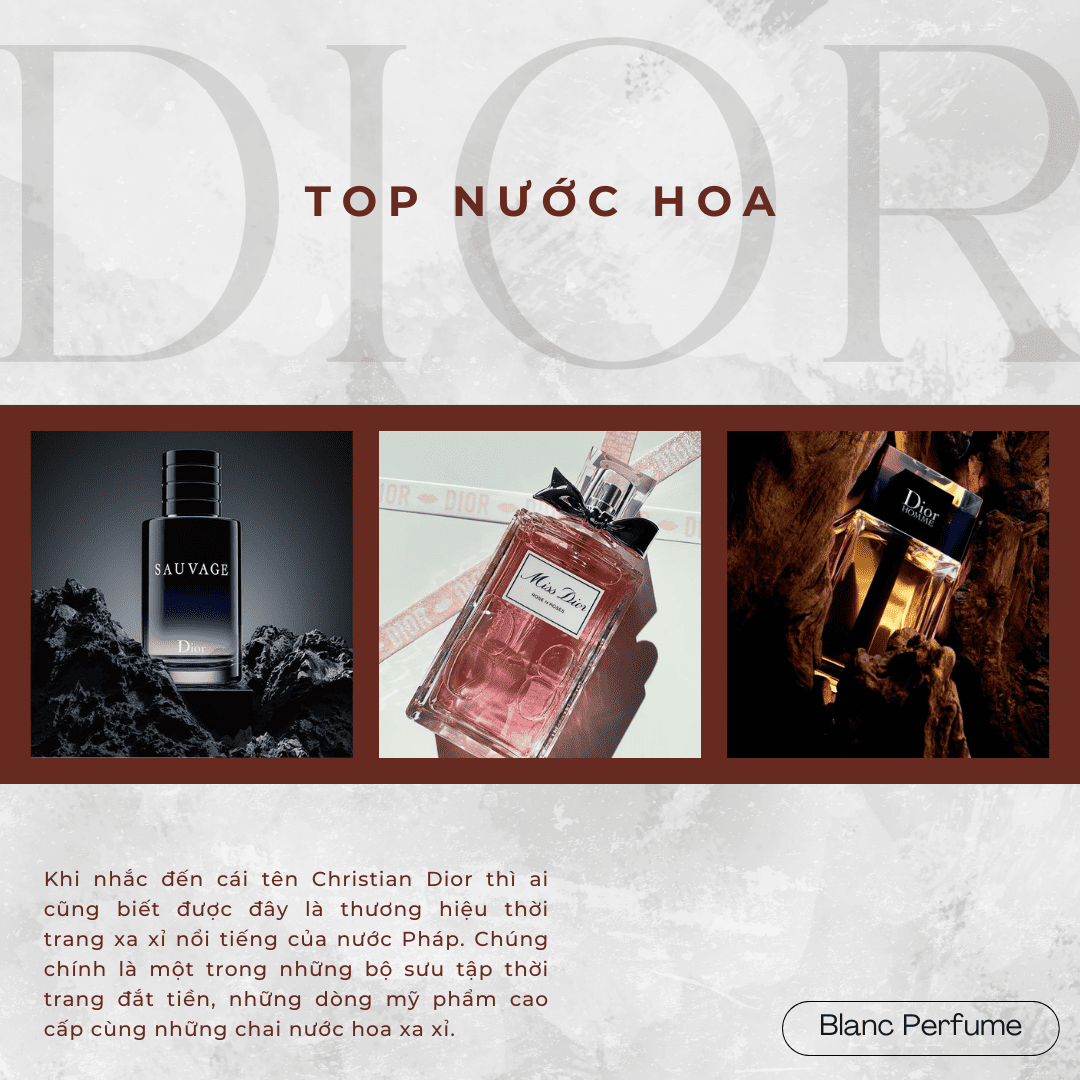 TOP NƯỚC HOA DIOR