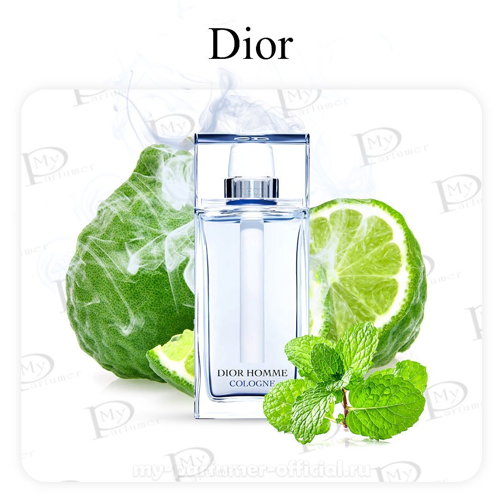 DIOR Cologne for Men  Nordstrom