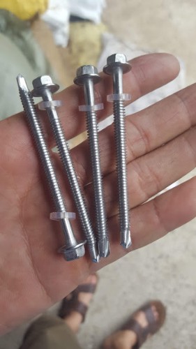 Vít Bắn Tôn D