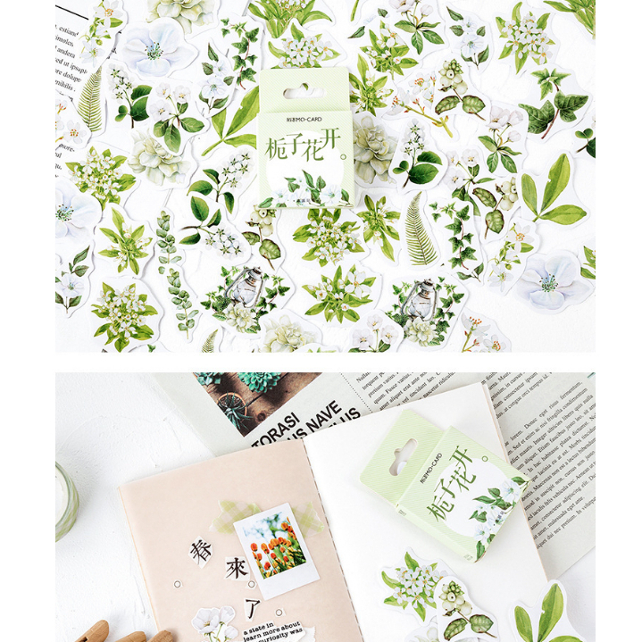 Tổng Hợp Sticker Chủ Đề Cây cối,hoa lá - Hộp 45 Miếng – Hana Art Shop