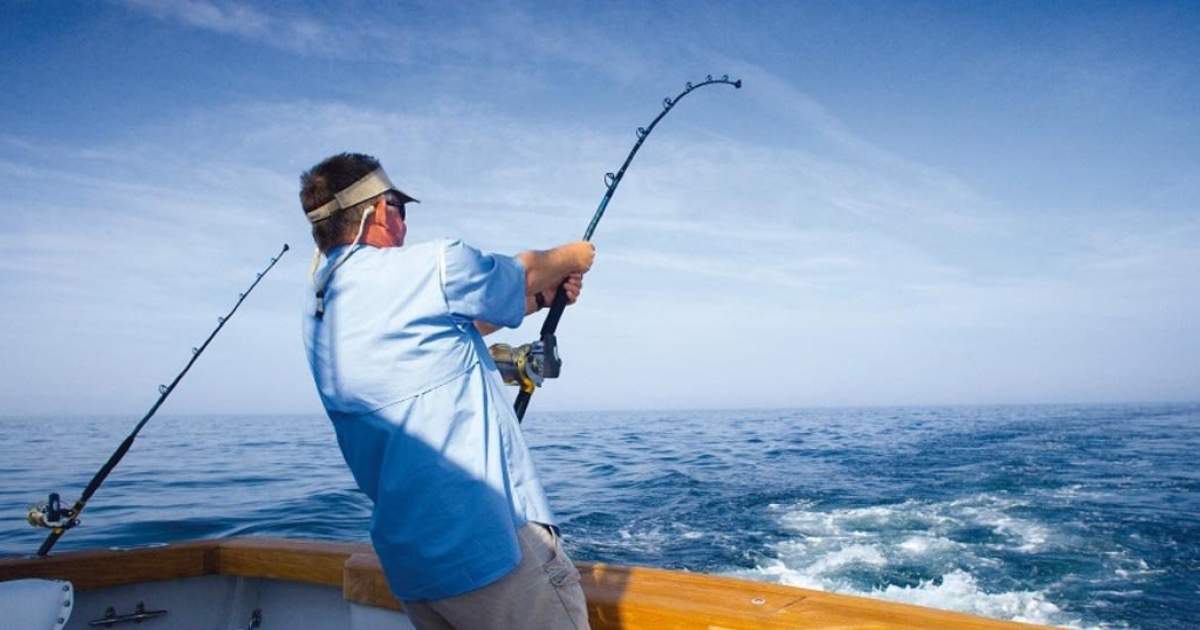 Bí kíp THẦN THÁNH cách chọn thời điểm, thời gian câu cá tốt nhất Đồ câu Linh Dương Bí Kíp Thần Thánh Cách Chọn Thời Điểm, Thời Gian Câu Cá Tốt Nhất Đồ Câu Linh Dương